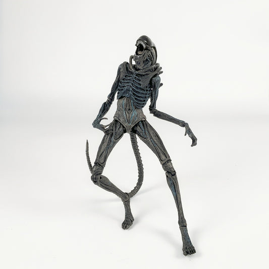 NECA Alien Covenant Xenomorph / Protomorph - Toy Action Figure Model