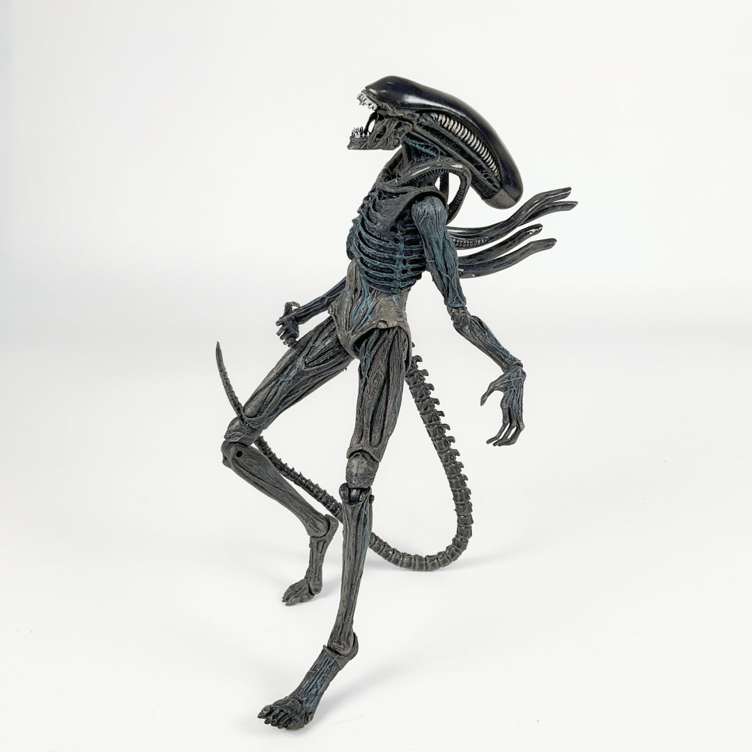 Protomorph Toy NECA Alien Covenant Xenomorph / Protomorph - Toy Action Figure Model ...