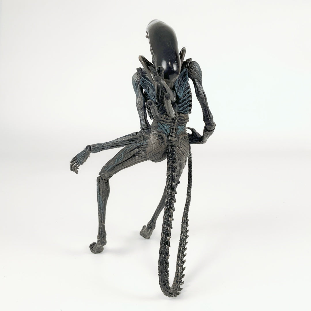 NECA Alien Covenant Xenomorph / Protomorph - Toy Action Figure Model ...