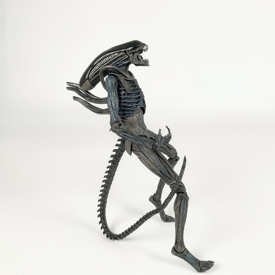 NECA Alien Covenant Xenomorph / Protomorph - Toy Action Figure Model ...