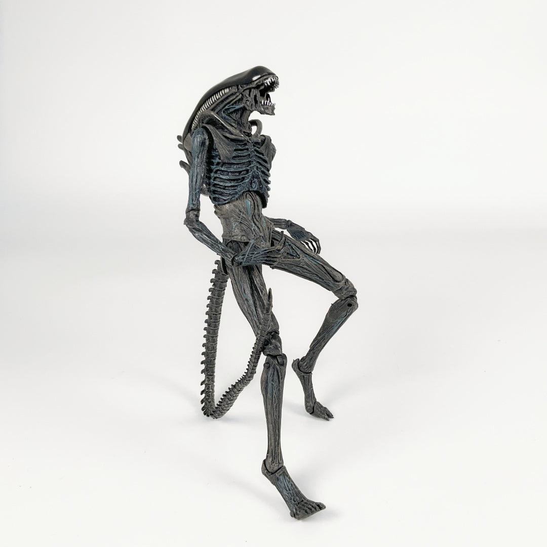 NECA Alien Covenant Xenomorph / Protomorph - Toy Action Figure Model ...