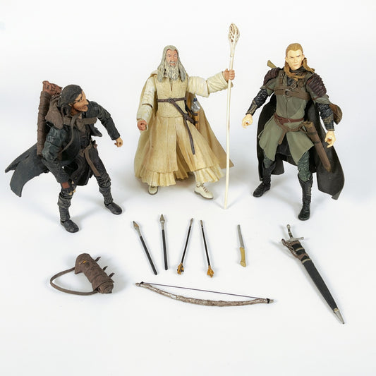 Lord of The Rings Fellowship Series Figures