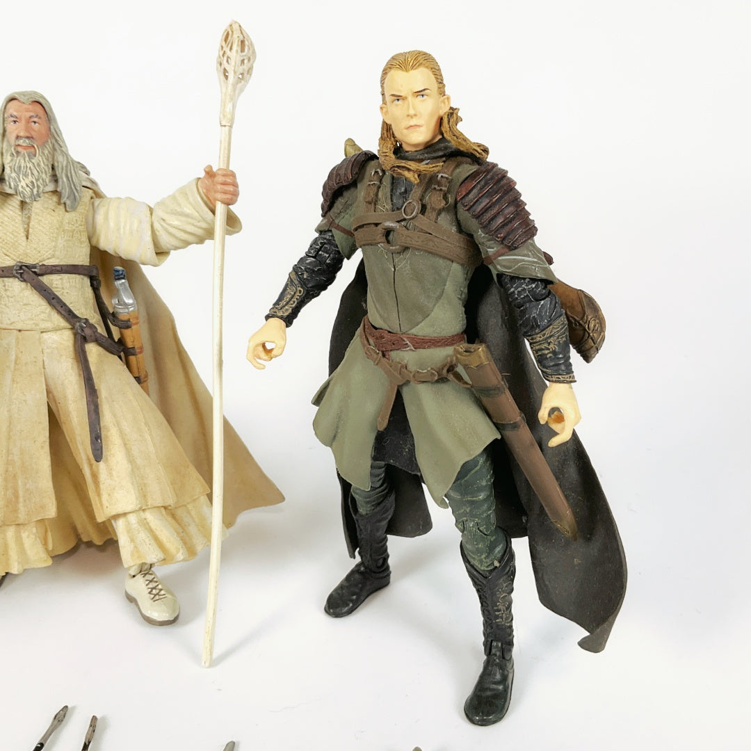 Lord of The Rings Fellowship Series Figures