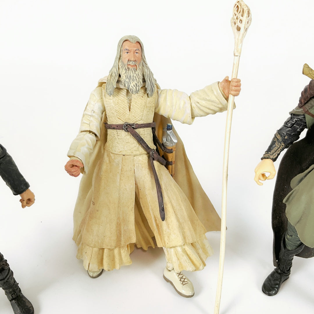 Lord of The Rings Fellowship Series Figures