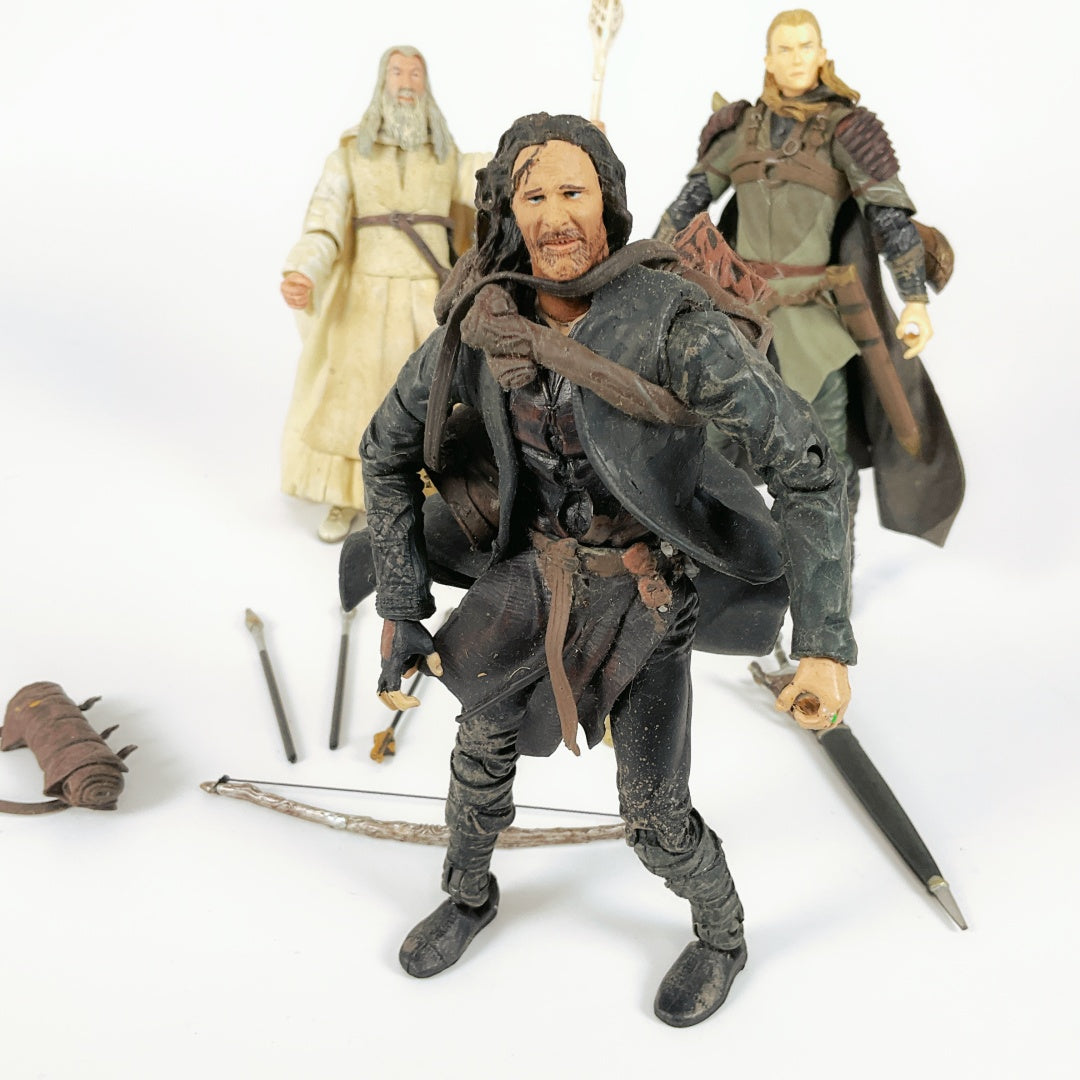 Lord of The Rings Fellowship Series Figures