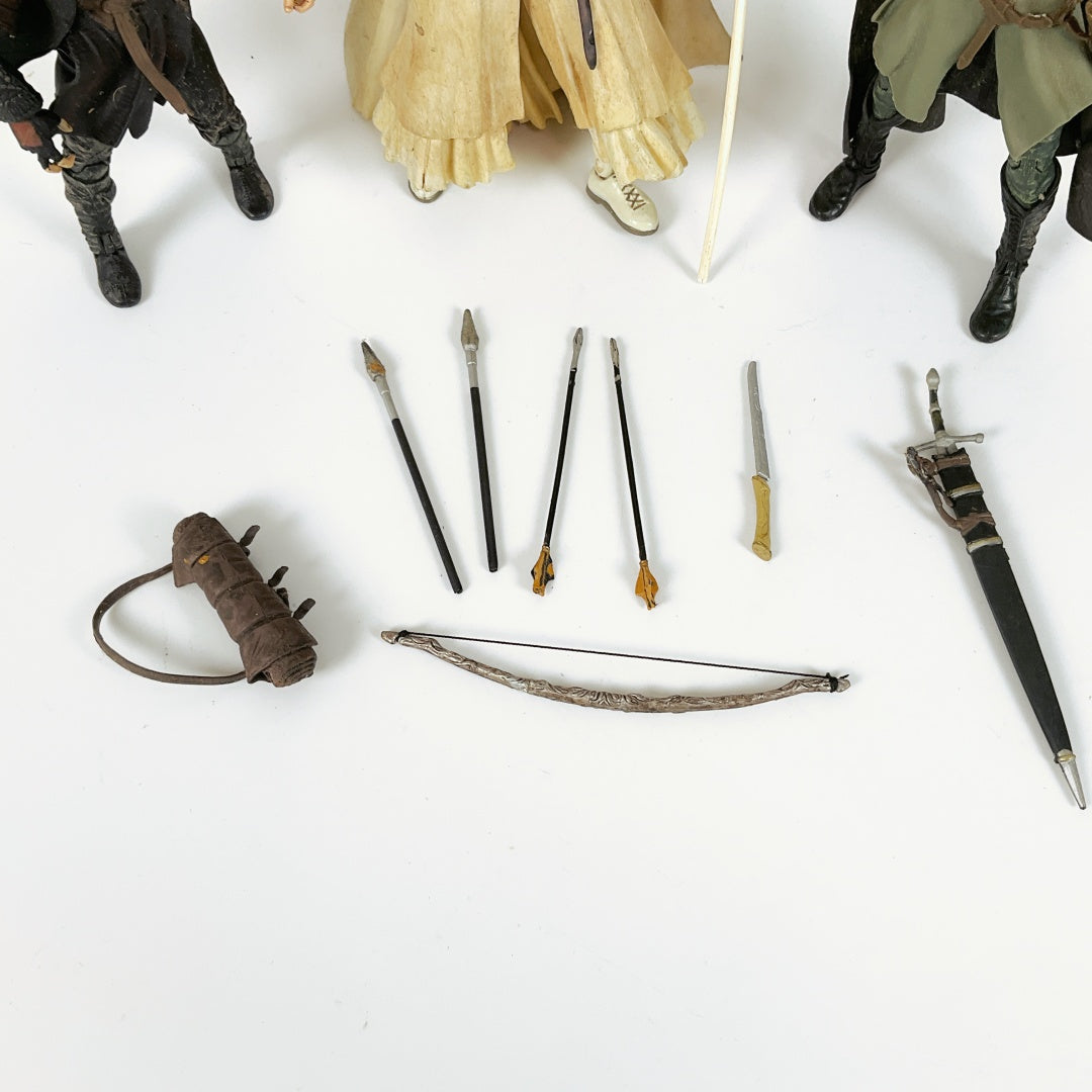 Lord of The Rings Fellowship Series Figures