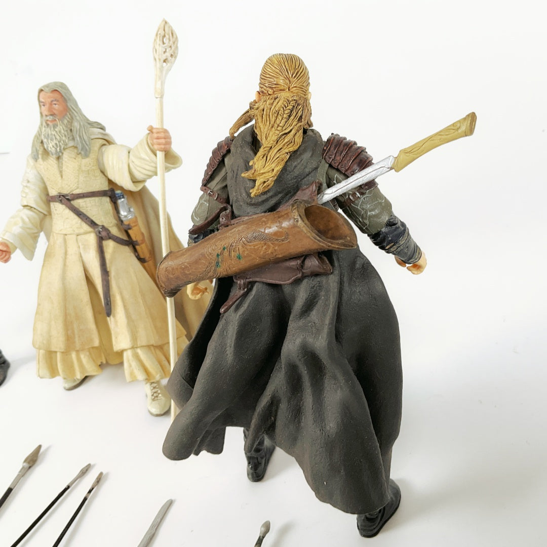 Lord of The Rings Fellowship Series Figures