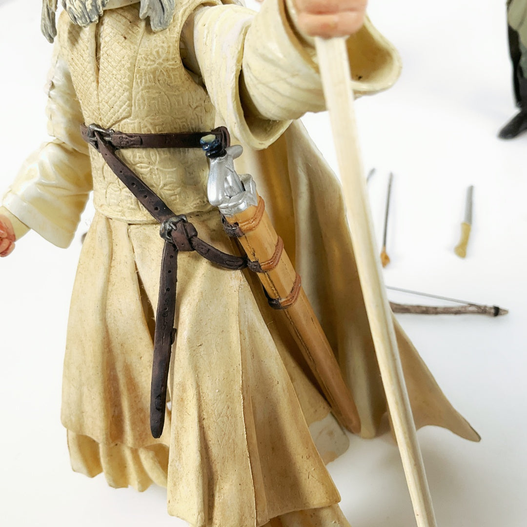 Lord of The Rings Fellowship Series Figures