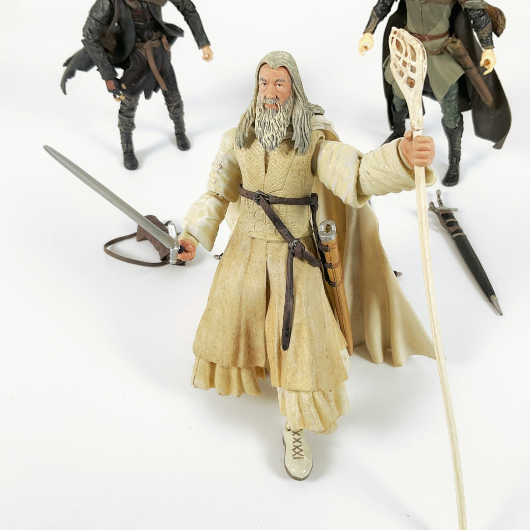 Lord of The Rings Fellowship Series Figures