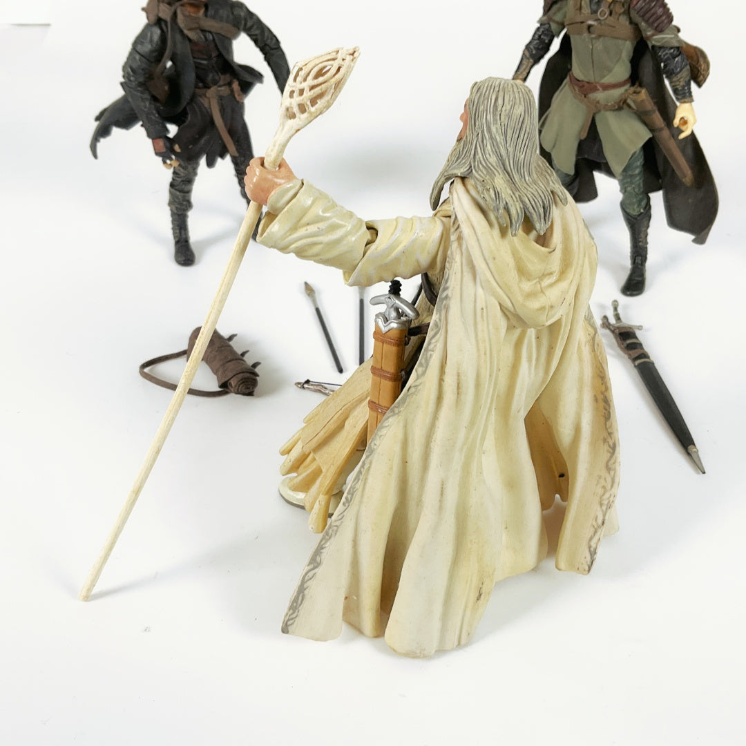 Lord of The Rings Fellowship Series Figures