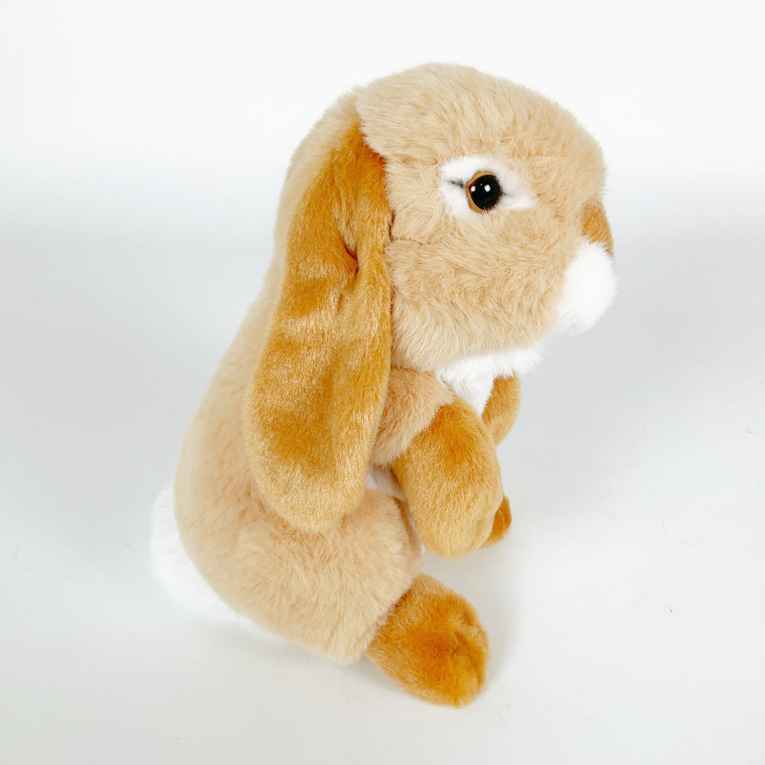 SPCA - Nibbles Brown Rabbit Medium
