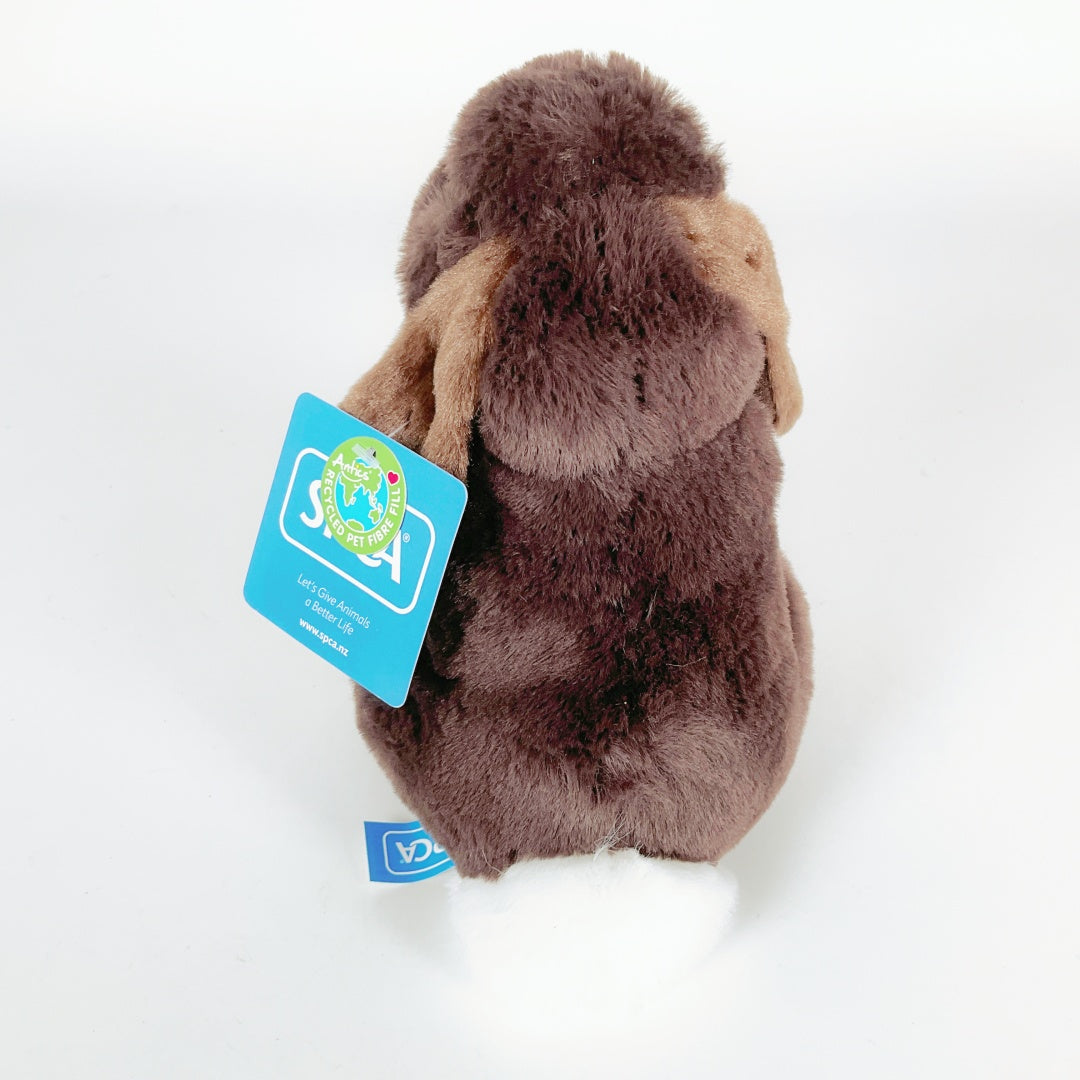 SPCA - Nibbles Chocolate Rabbit Medium