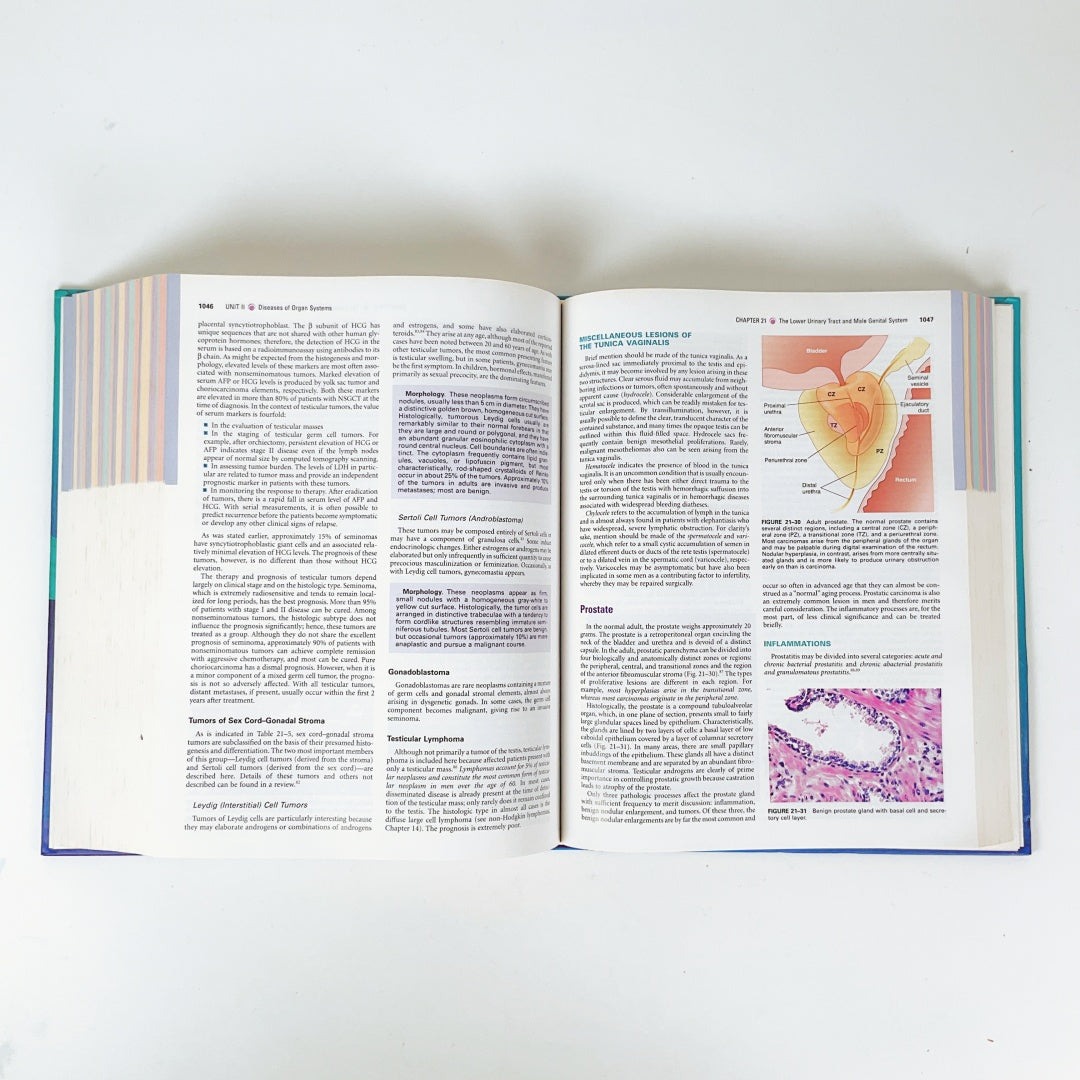 Robbins and Cotran Pathologic basis of Disease 7th Edition