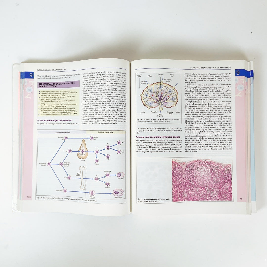 General and Systematic Pathology (3rd edn)
