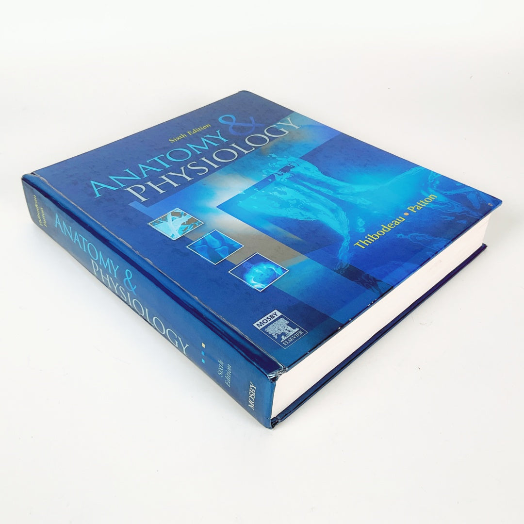 Anatomy & Physiology (Sixth Edition)