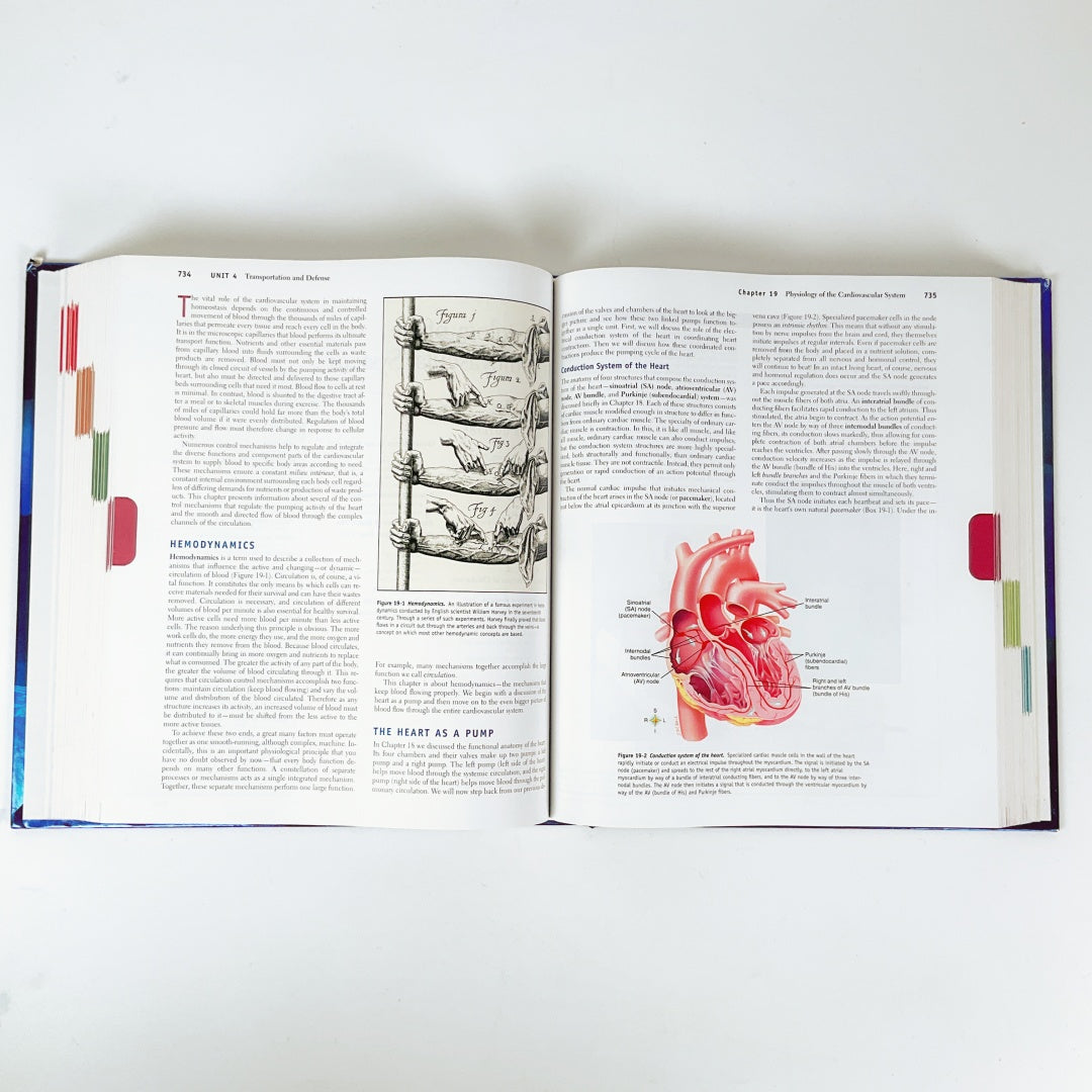 Anatomy & Physiology (Sixth Edition)