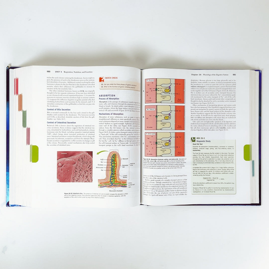Anatomy & Physiology (Sixth Edition)