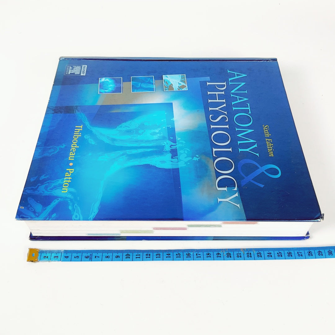 Anatomy & Physiology (Sixth Edition)