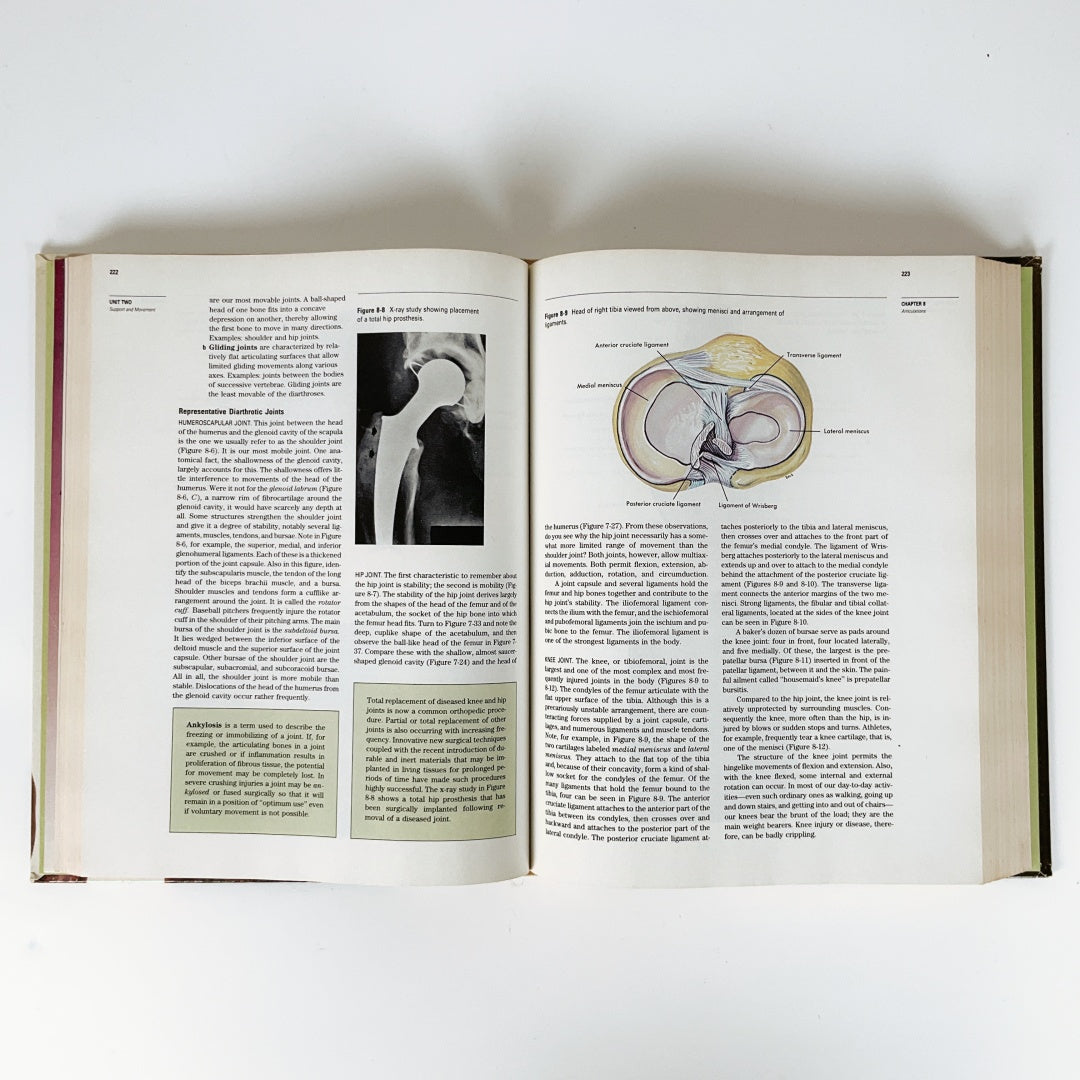 Anatomy And Physiology