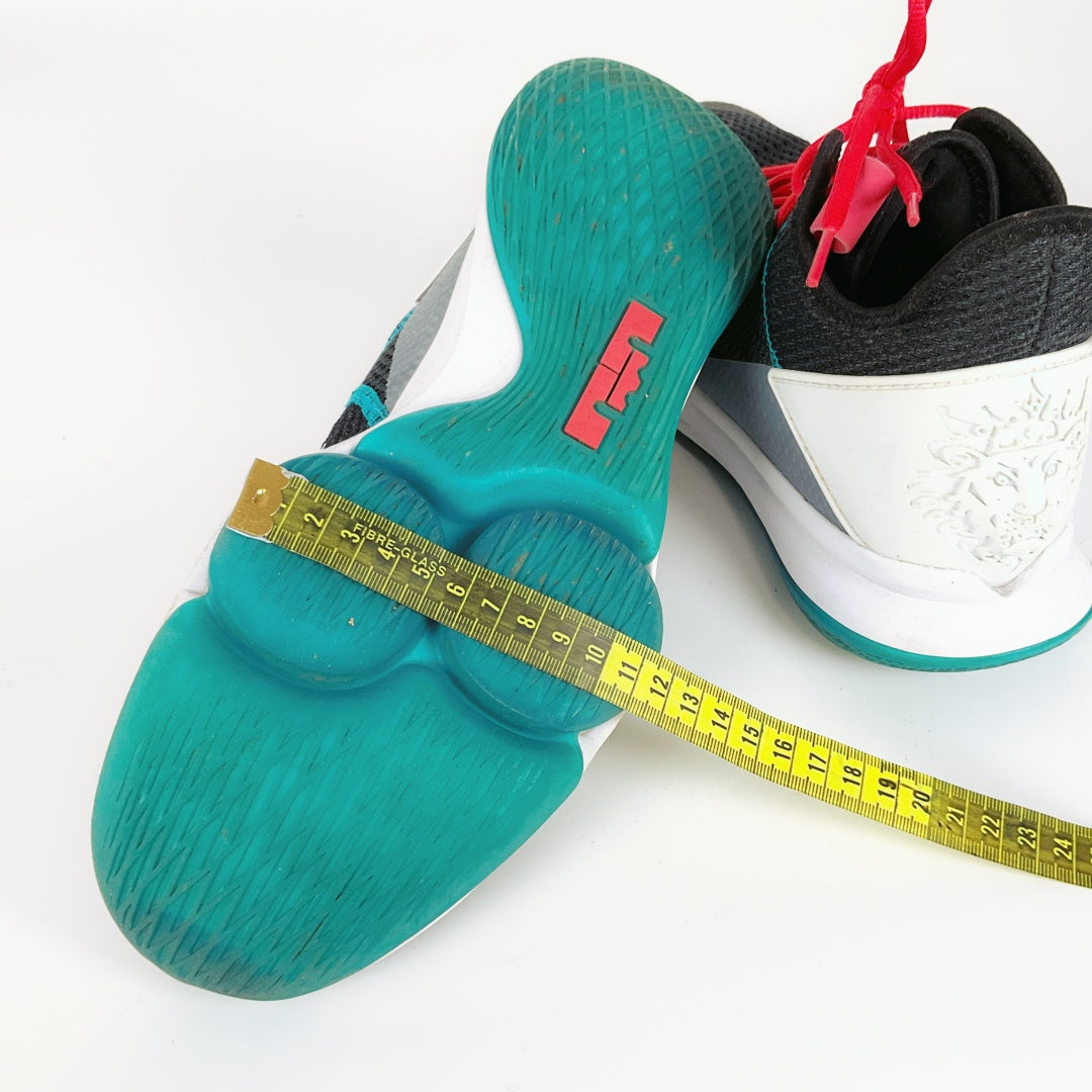 Nike LeBron Witness 4 Basketball Shoes – US 10.5