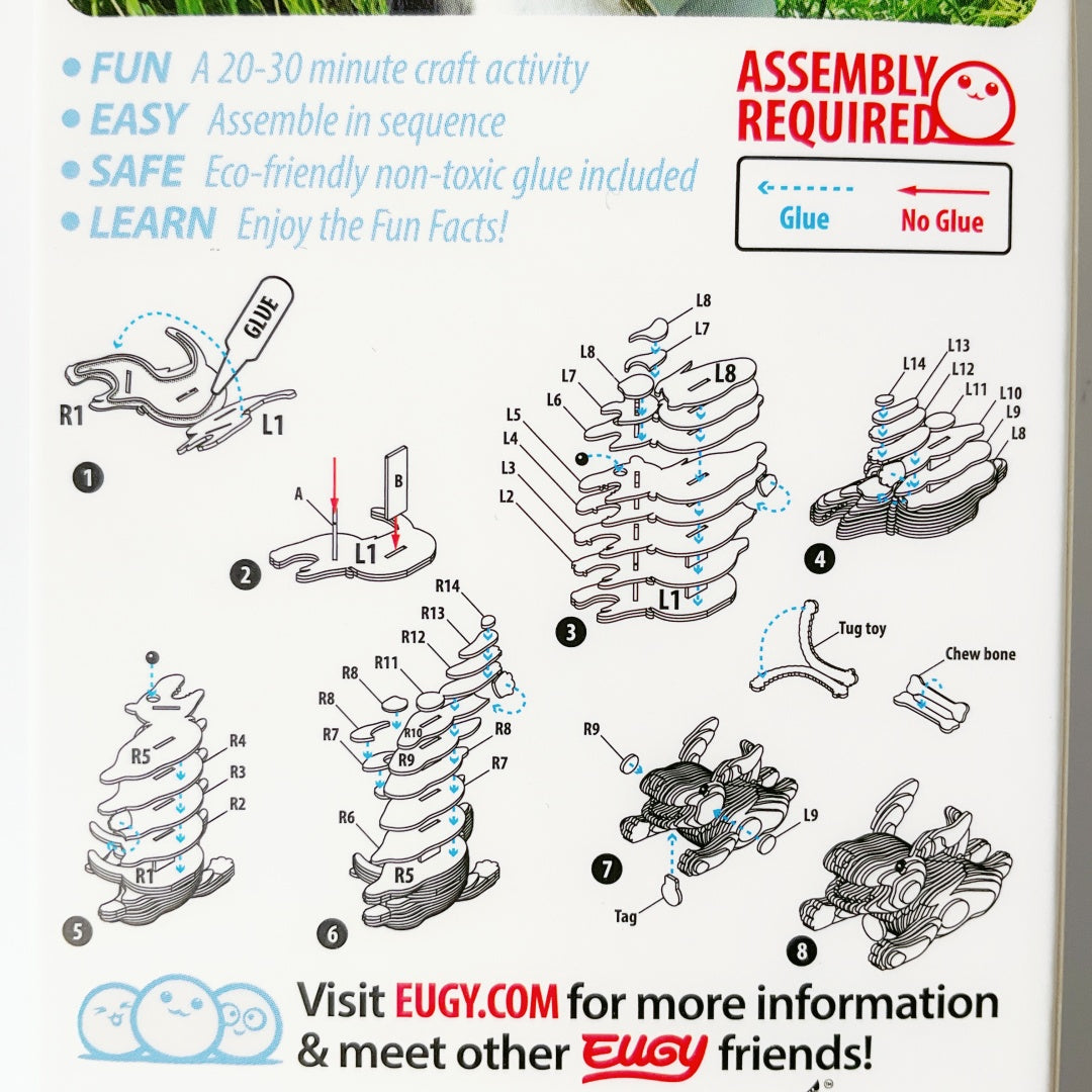 EUGY Dog Hope 3D Cardboard Model Kit – Proud Supporters of SPCA Kids