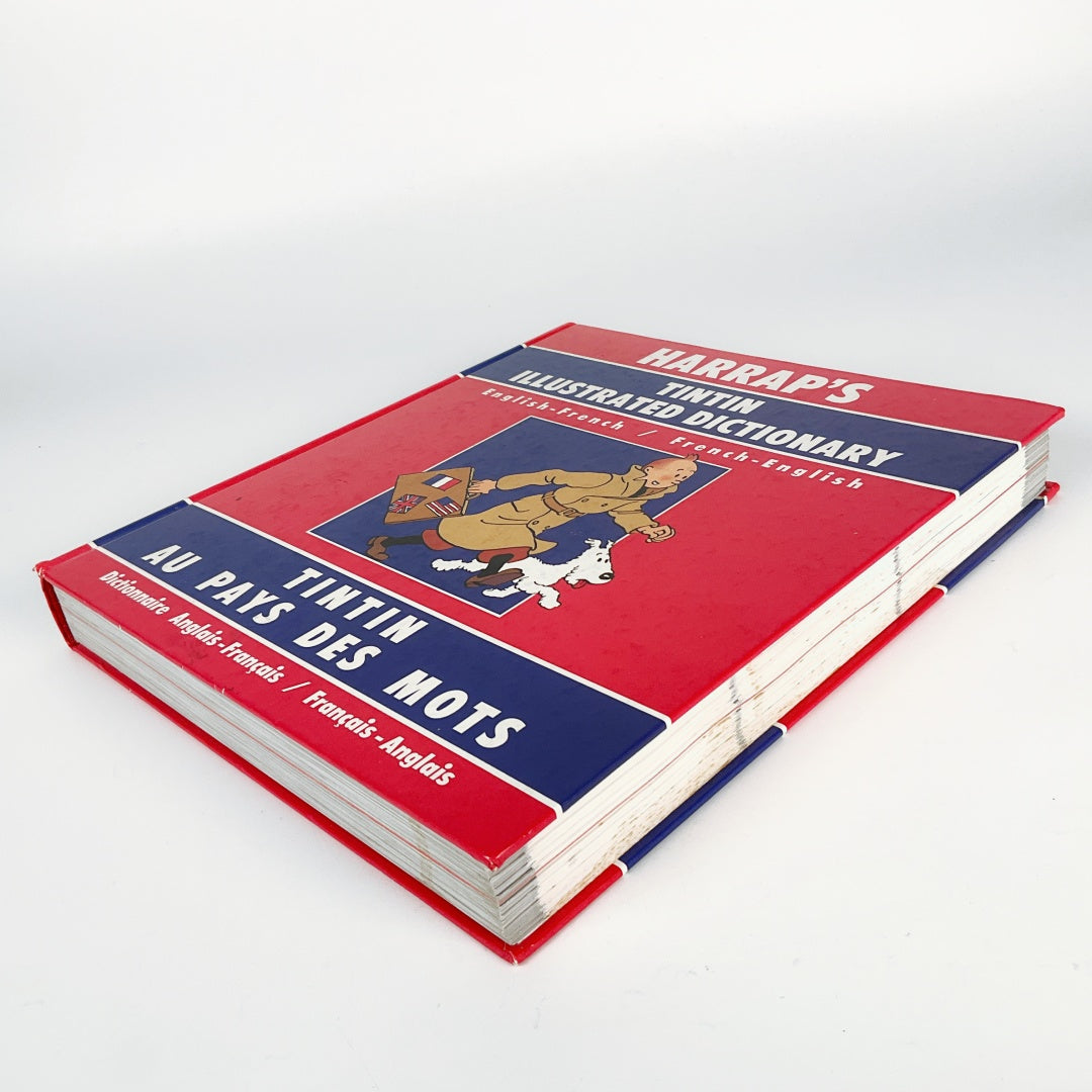 TINTIN Illustrated Dictionary