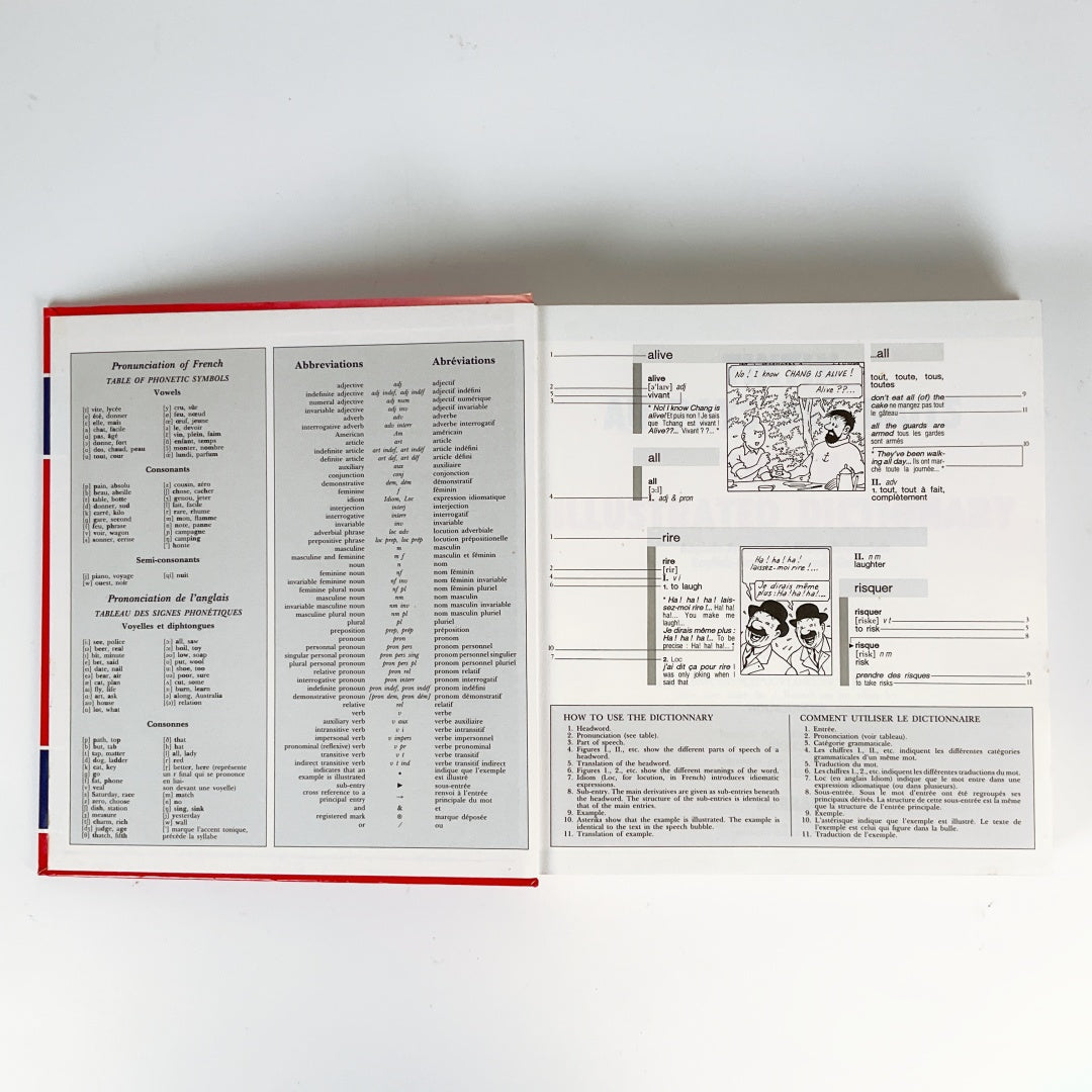 TINTIN Illustrated Dictionary