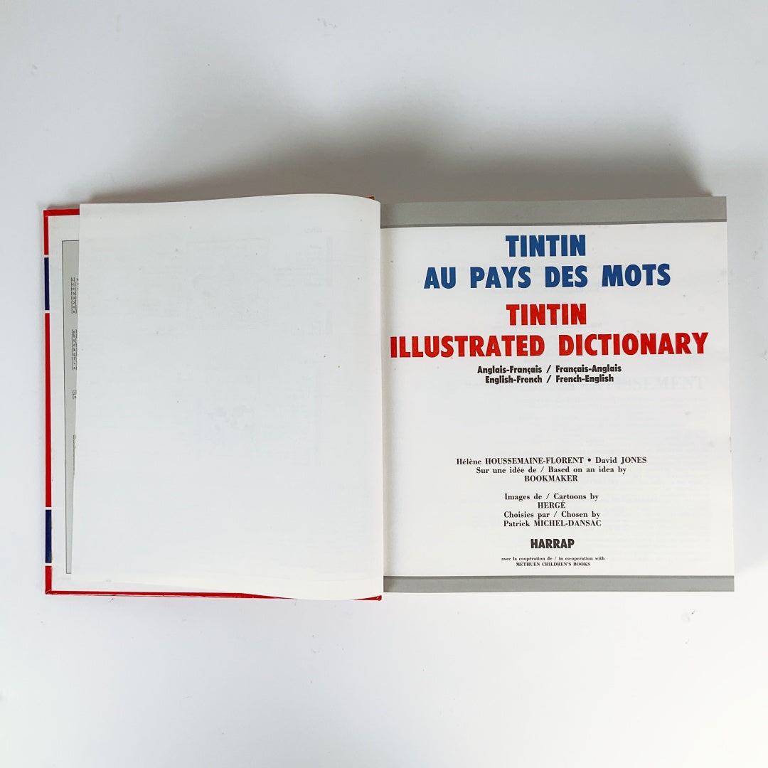 TINTIN Illustrated Dictionary