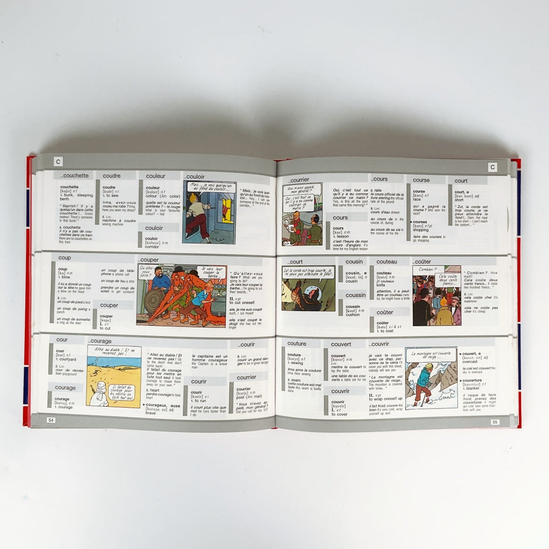 TINTIN Illustrated Dictionary
