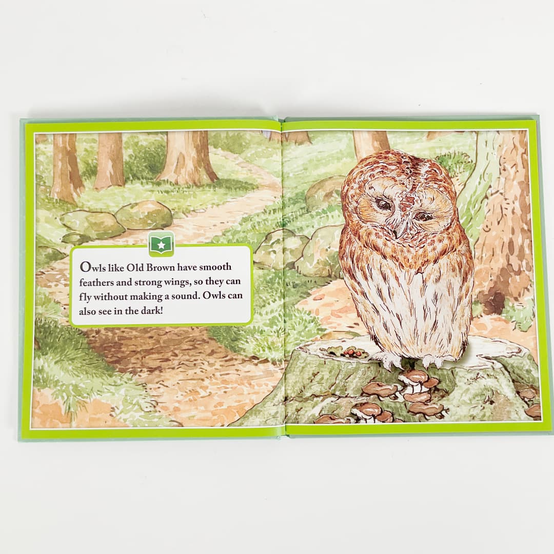 World of Peter Rabbit: Me Reader 8-Book Library