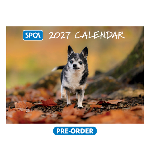 PRE-ORDER: SPCA 2027 Calendar – Dogs