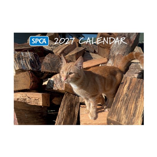 SPCA 2027 Calendar – Cats