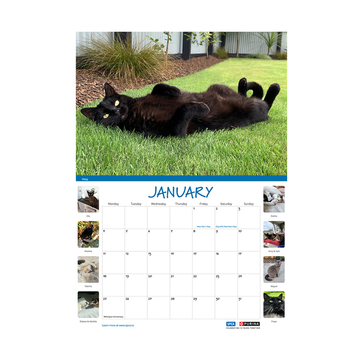 SPCA 2027 Calendar – Cats