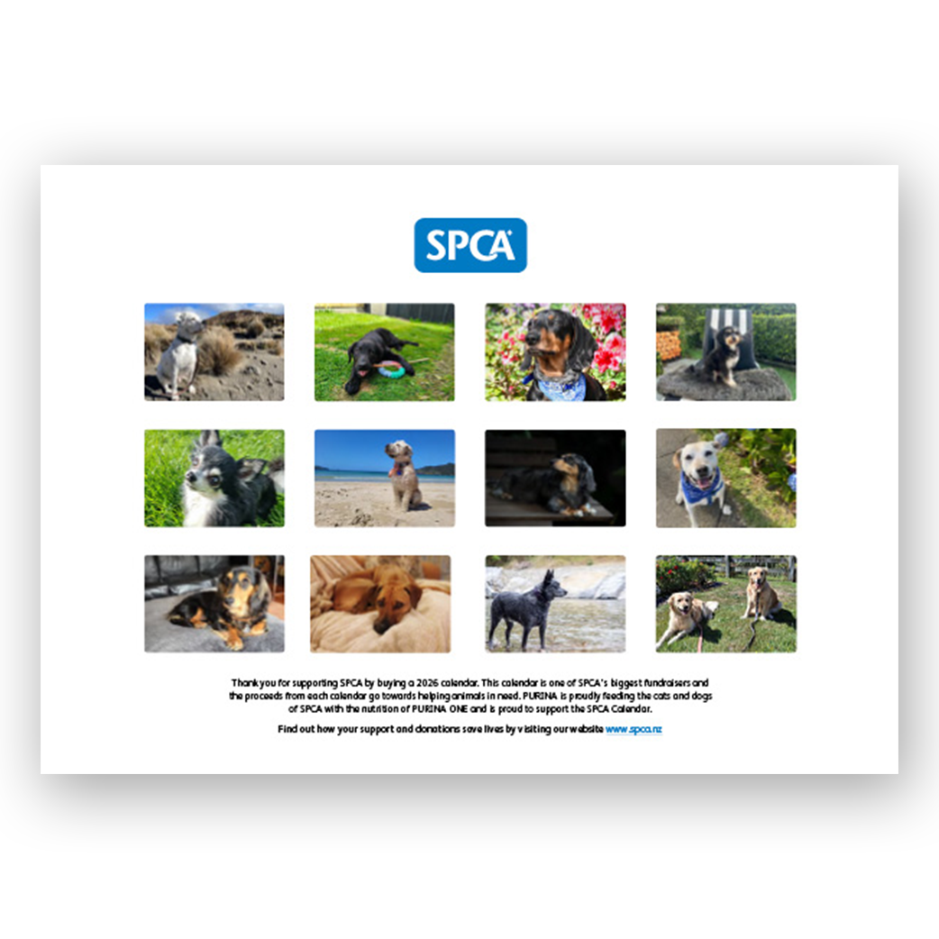 SPCA 2026 Calendar - Dogs