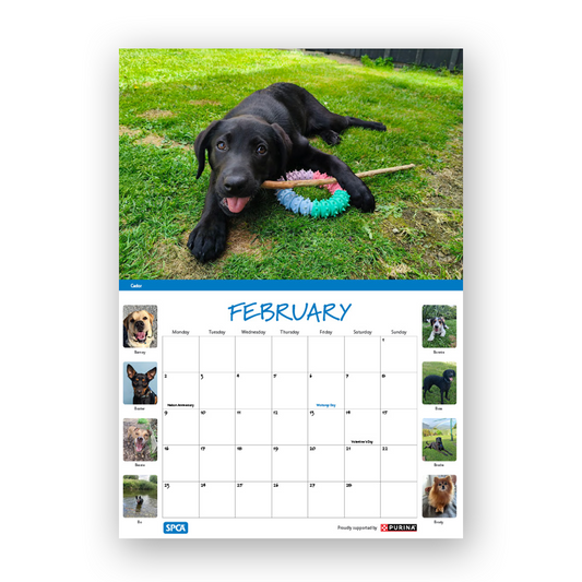 SPCA 2026 Calendar - Dogs