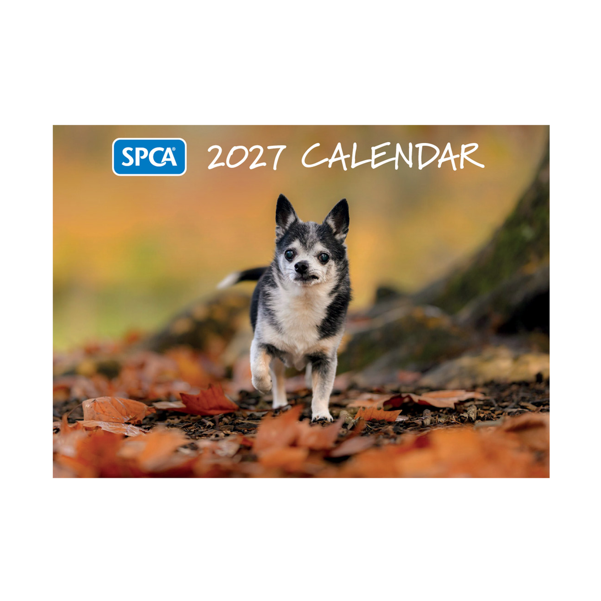 SPCA 2027 Calendar – Dogs