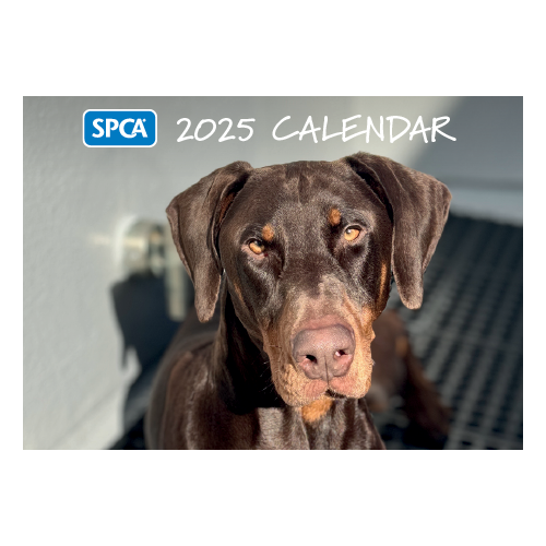 SPCA 2025 Calendars - Dogs