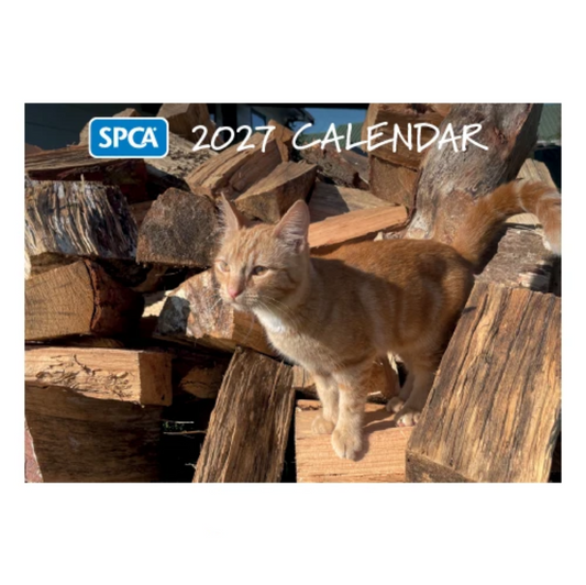 SPCA 2027 Calendar – Cats