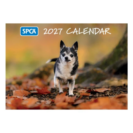SPCA 2027 Calendar – Dogs