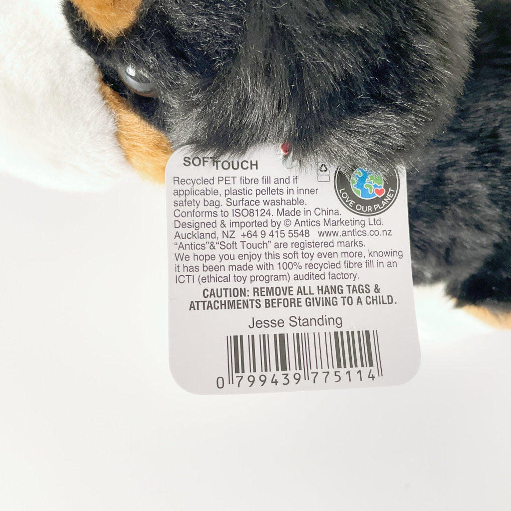 Antics - Jesse Farm Dog