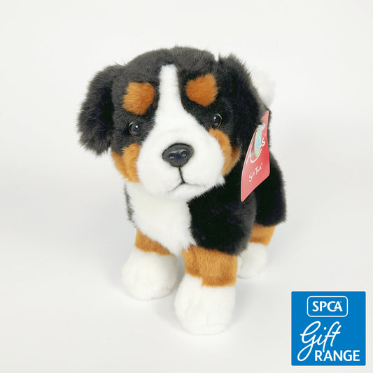 Antics - Jesse Farm Dog