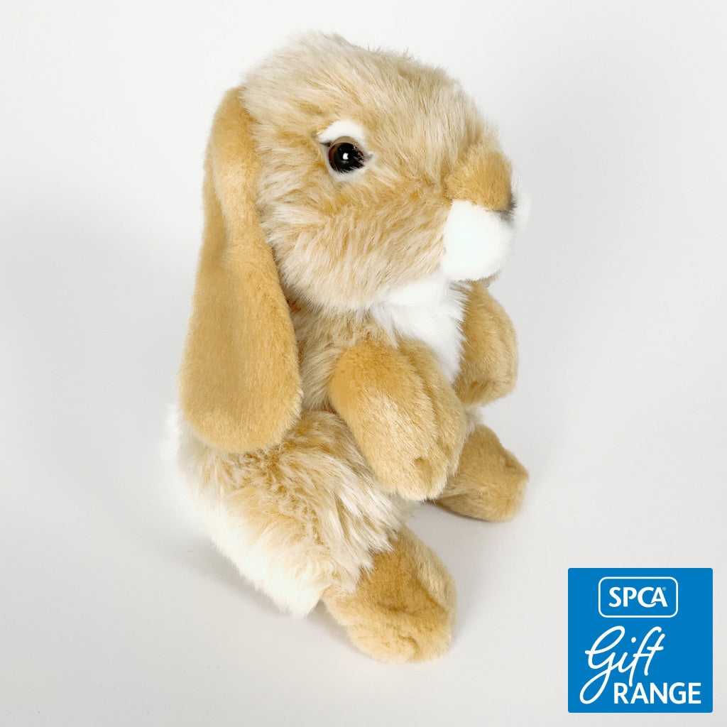 Antics - Nibbles Rabbits Golden