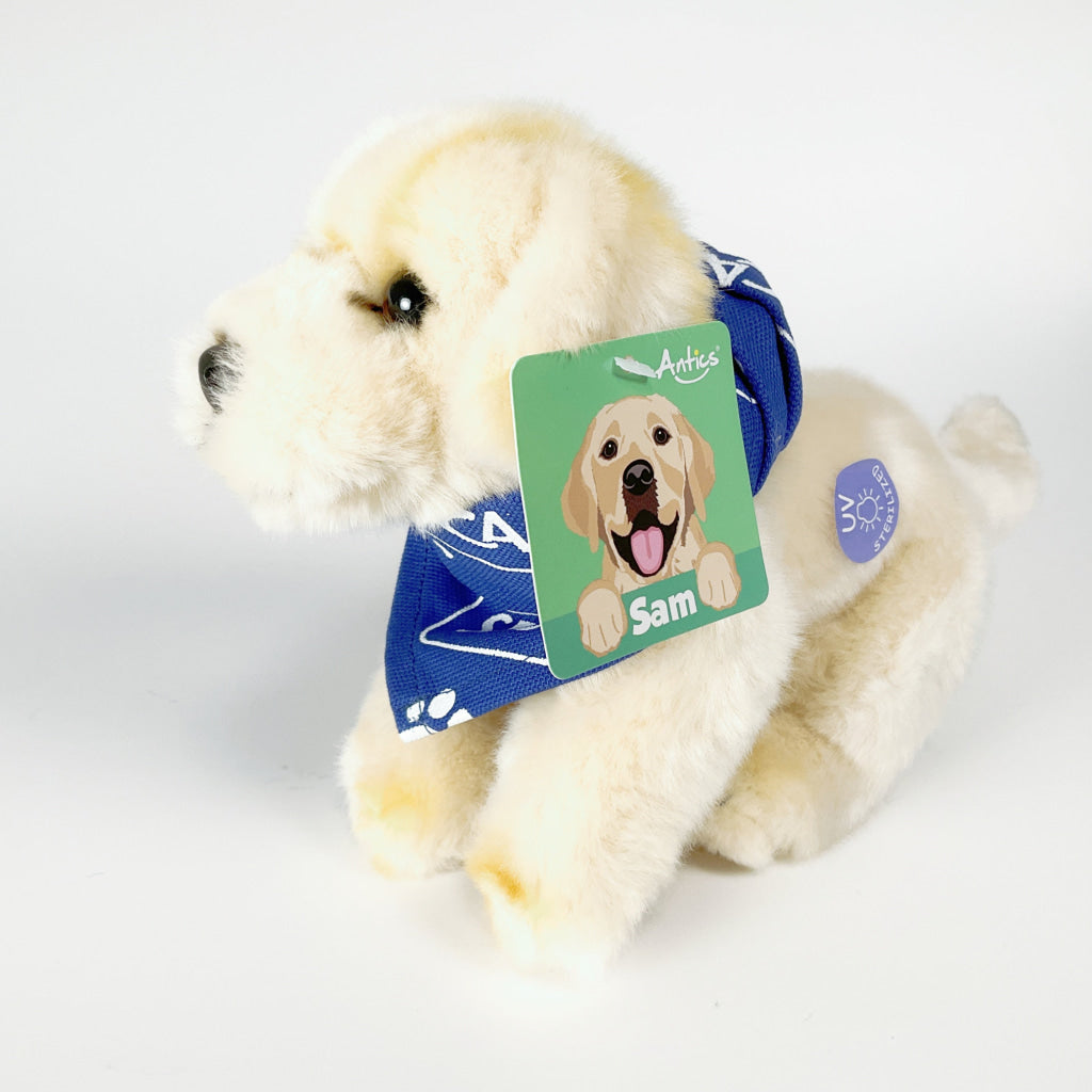 Antics - Silky Soft Sam Small