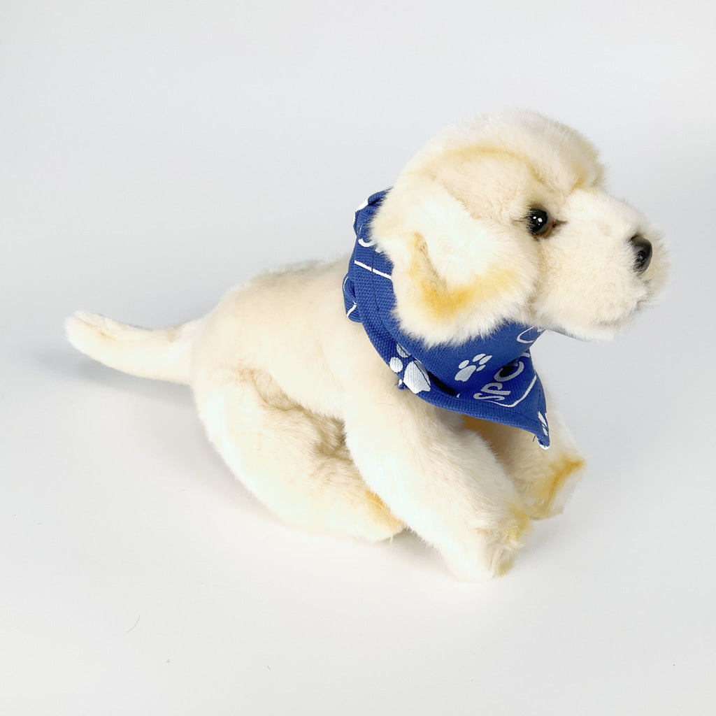 Antics - Silky Soft Sam Small