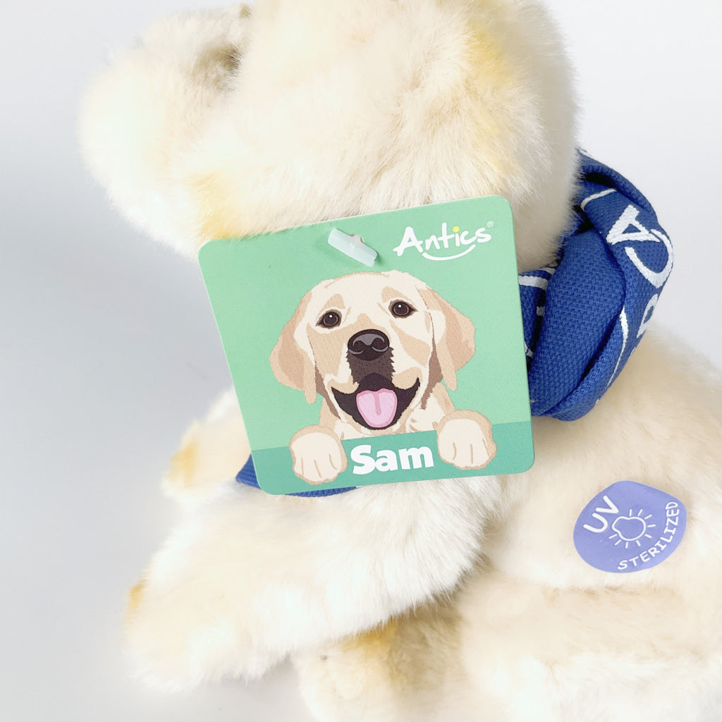 Antics - Silky Soft Sam Small