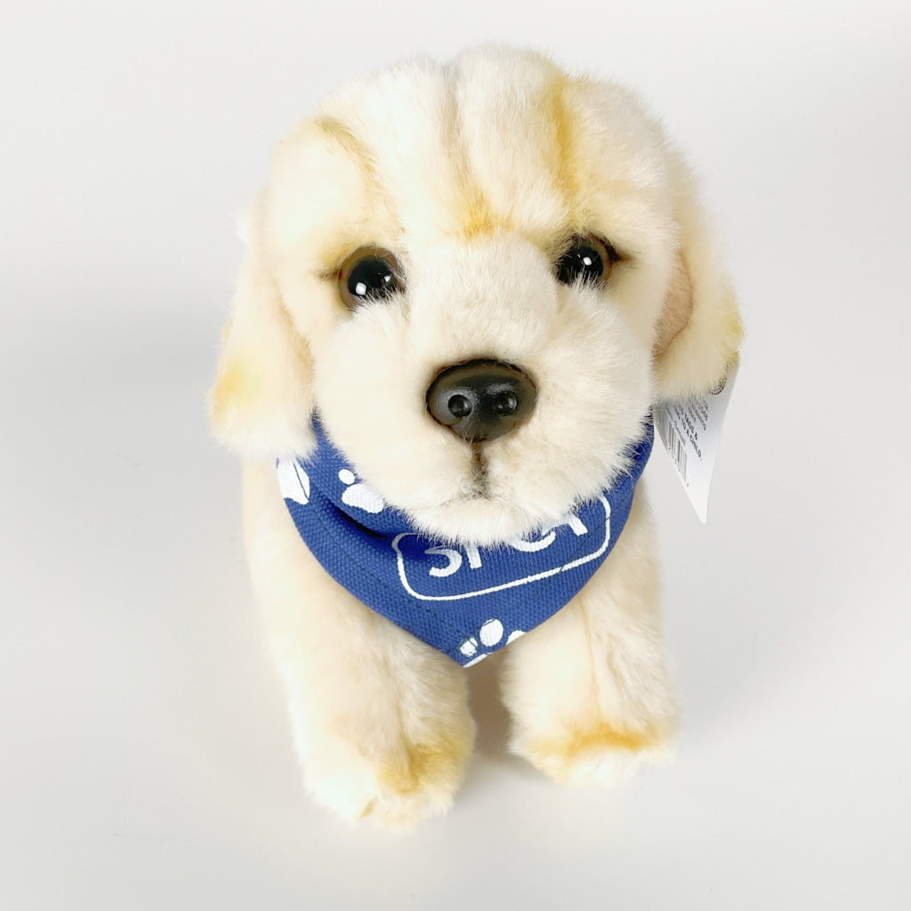 Antics - Silky Soft Sam Small