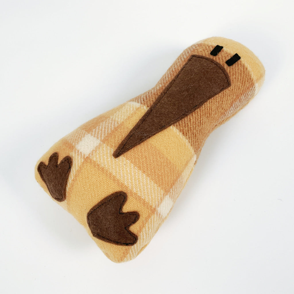 Artearoa - Colourful G.N. Kiwi - Brown