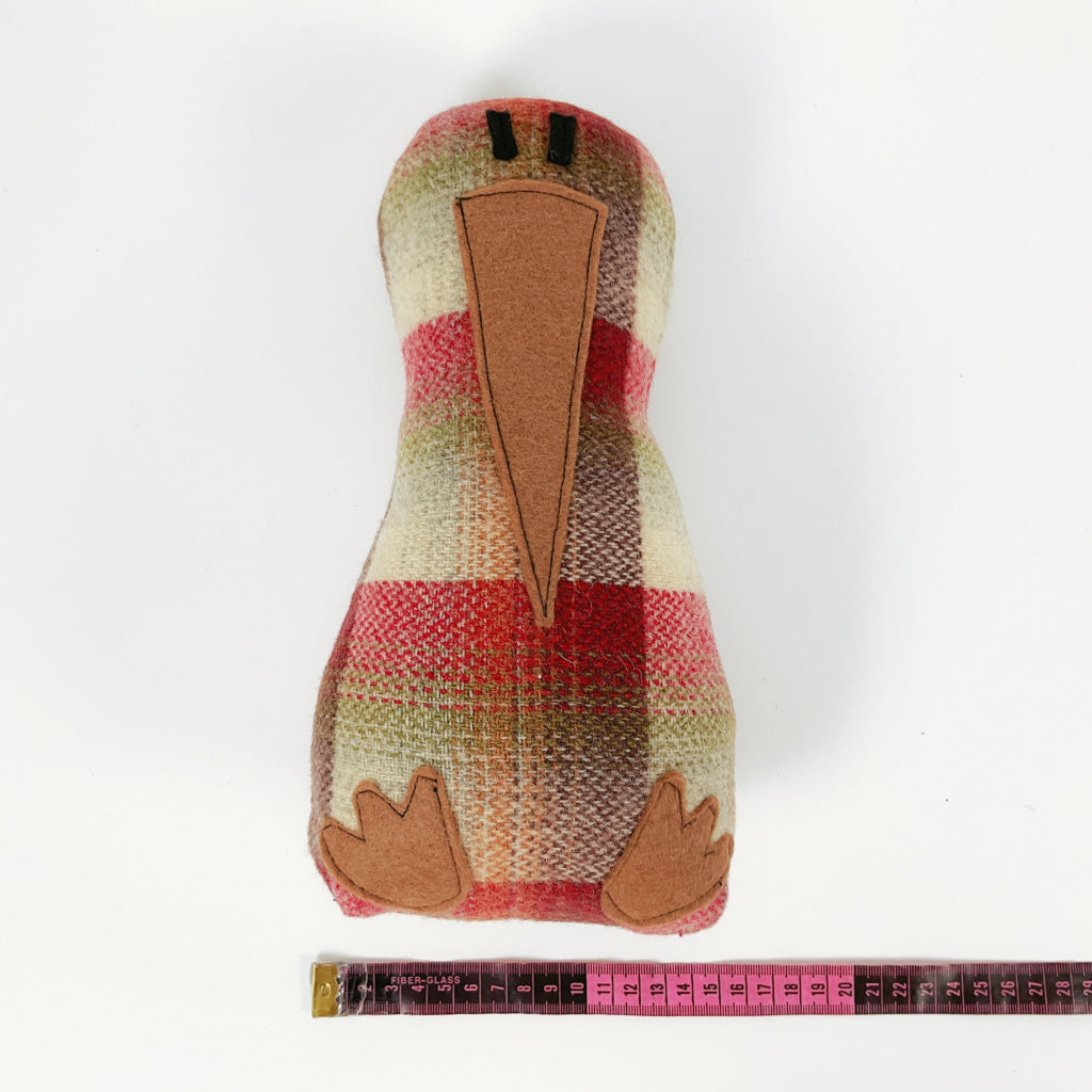 Artearoa - Colourful G.N. Kiwi - Red