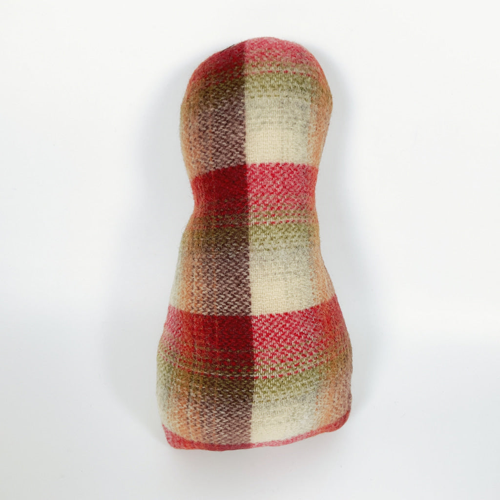 Artearoa - Colourful G.N. Kiwi - Red