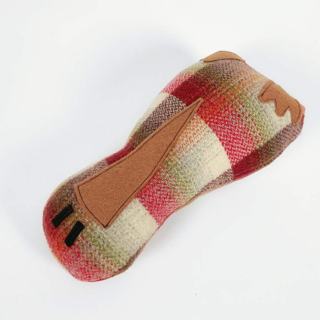 Artearoa - Colourful G.N. Kiwi - Red